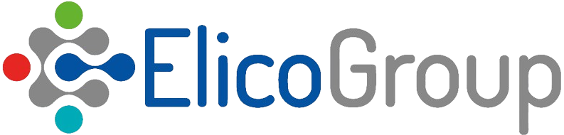 Logo Elico Group